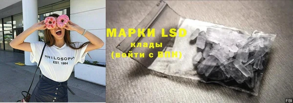 гашик Алзамай
