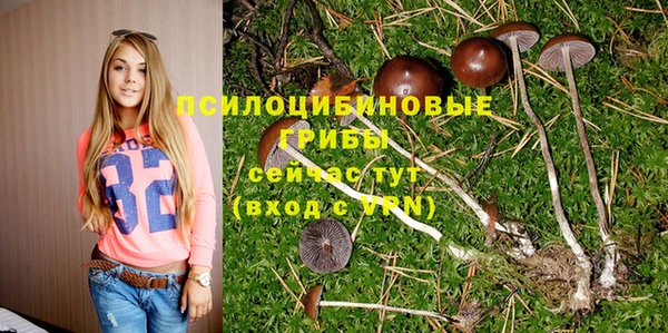 прущая мука Алексин