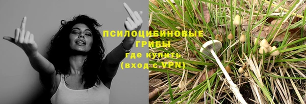 метадон Алексеевка