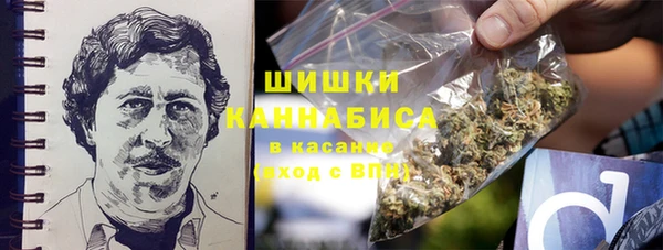 гашик Алзамай