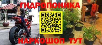 2c-b Лесосибирск