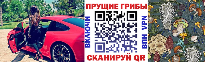 Галлюциногенные грибы мухоморы Дмитров