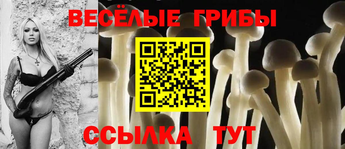 Псилоцибиновые грибы Magic Shrooms Дмитров
