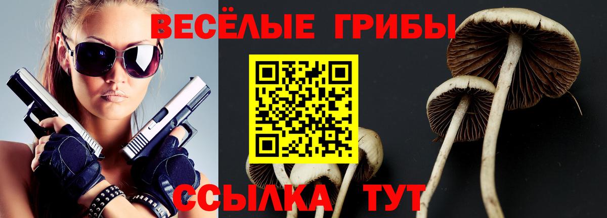 Дмитров  Псилоцибиновые грибы Magic Shrooms  Псилоцибиновые грибы MAGIC MUSHROOMS  Вход с VPN 